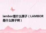 lambor是什么牌子（LAMBOR是什么牌子啊）