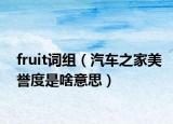 fruit词组（汽车之家美誉度是啥意思）