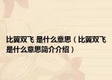 比翼双飞 是什么意思（比翼双飞是什么意思简介介绍）
