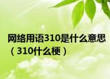 网络用语310是什么意思（310什么梗）