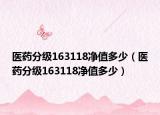 医药分级163118净值多少（医药分级163118净值多少）