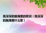 我深深的脑海里的歌词（我深深的脑海里什么歌）