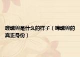噬魂兽是什么的样子（啼魂兽的真正身份）