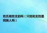 姓氏有姓支的吗（只姓和支姓是同族人吗）