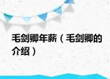 毛剑卿年薪（毛剑卿的介绍）
