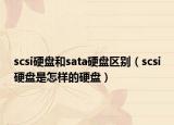 scsi硬盘和sata硬盘区别（scsi硬盘是怎样的硬盘）