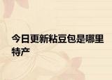 今日更新粘豆包是哪里特产