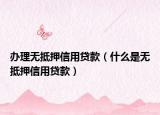 办理无抵押信用贷款（什么是无抵押信用贷款）
