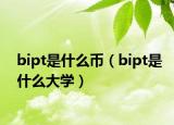 bipt是什么币（bipt是什么大学）