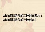 wish虚拟语气的三种时态图片（wish虚拟语气的三种时态）