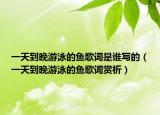 一天到晚游泳的鱼歌词是谁写的（一天到晚游泳的鱼歌词赏析）