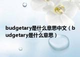 budgetary是什么意思中文（budgetary是什么意思）