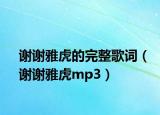 谢谢雅虎的完整歌词（谢谢雅虎mp3）