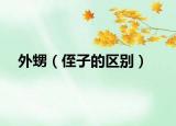 外甥（侄子的区别）