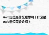 uwb定位是什么意思啊（什么是uwb定位简介介绍）