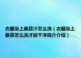 衣服染上桑葚汁怎么洗（衣服染上桑葚怎么洗才能干净简介介绍）