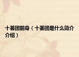 十荟团前身（十荟团是什么简介介绍）