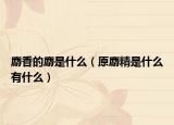 麝香的麝是什么（原麝精是什么有什么）