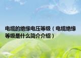电缆的绝缘电压等级（电缆绝缘等级是什么简介介绍）