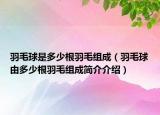 羽毛球是多少根羽毛组成（羽毛球由多少根羽毛组成简介介绍）