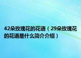 42朵玫瑰花的花语（29朵玫瑰花的花语是什么简介介绍）