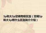 1p和大1p空调有啥区别（空调1p和大1p有什么区别简介介绍）