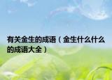 有关金生的成语（金生什么什么的成语大全）