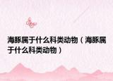 海豚属于什么科类动物（海豚属于什么科类动物）