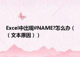 Excel中出现#NAME?怎么办（（文本原因））