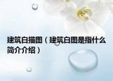 建筑白描图（建筑白图是指什么简介介绍）