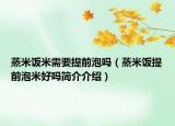 蒸米饭米需要提前泡吗（蒸米饭提前泡米好吗简介介绍）