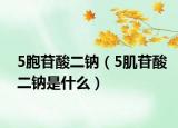 5胞苷酸二钠（5肌苷酸二钠是什么）