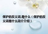 保护的反义词,是什么（保护的反义词是什么简介介绍）