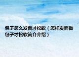 包子怎么发面才松软（怎样发面做包子才松软简介介绍）