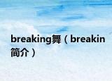 breaking舞（breakin简介）