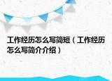 工作经历怎么写简短（工作经历怎么写简介介绍）