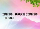玫瑰行动一共多少集（玫瑰行动一共几集）