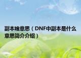 副本啥意思（DNF中副本是什么意思简介介绍）