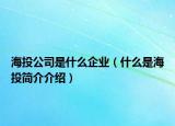 海投公司是什么企业（什么是海投简介介绍）