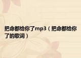 把命都给你了mp3（把命都给你了的歌词）