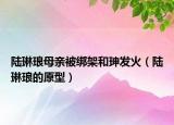 陆琳琅母亲被绑架和珅发火（陆琳琅的原型）