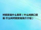 对销贸易什么意思（什么叫转口贸易 什么叫对销贸易简介介绍）