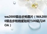 wa2000狙击步枪图片（WA2000狙击步枪精度如何?100码几MOA）