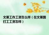 文莱工作工资怎么样（在文莱国打工工资怎样）