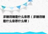 求锤得锤是什么意思（求锤得锤是什么意思什么梗）