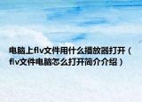 电脑上flv文件用什么播放器打开（flv文件电脑怎么打开简介介绍）