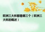 欧洲三大杯都是哪三个（欧洲三大杯的概述）