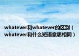 whatever和whatever的区别（whatever和什么短语意思相同）