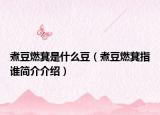 煮豆燃萁是什么豆（煮豆燃萁指谁简介介绍）