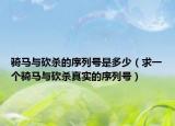 骑马与砍杀的序列号是多少（求一个骑马与砍杀真实的序列号）